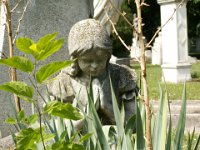 Közép-24 Székely Károly